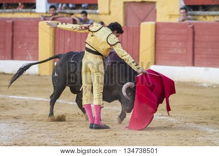 Andujar Spain - September 10 2010: The Spanish Bullfighter Oliva Soto bullfighting with the crutch in the Bullring of Andujar Spain