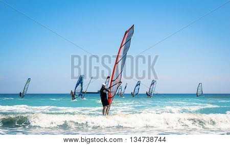 Windsurfing sails on the blue sea riding the wind