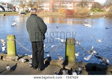 Man Feeding Birds