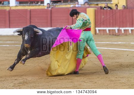 Andujar Spain - September 10 2010: The Spanish Bullfighter Juan Jose Padilla bullfighting with the crutch in the Bullring of Andujar Spain