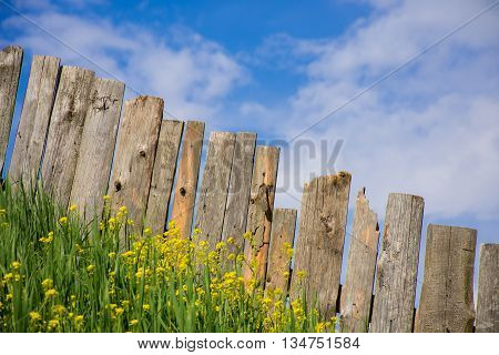 Pastoral views on palisade from wooden boards. Fence is a village full of flowers. Rural life outside the city. Landscape on bright flowers and a wooden fence on a ranch. Pasture for livestock.