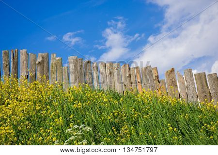 Palisade fence is a village full of flowers. Rural life outside the city. Landscape on bright flowers and a wooden hedge on a ranch.