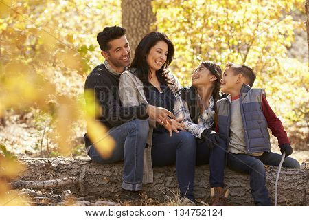 Family sitting on fallen tree in a forest look at each other