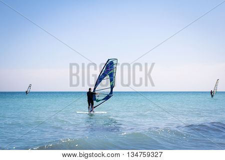 Windsurfing sails on the blue sea riding the wind