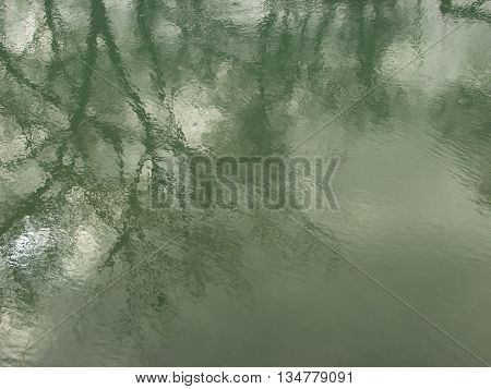 Trees reflected of of a river in the fall.