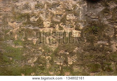 Closeup of stone wall masonry texture overgrown with moss