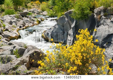 Alcantara River Reserve