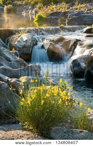 Alcantara River Reserve