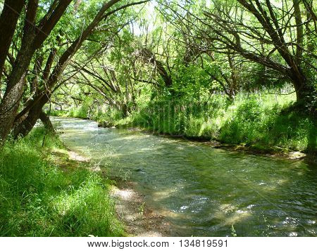 Arrowtown river with lupins on a sunny afternoon