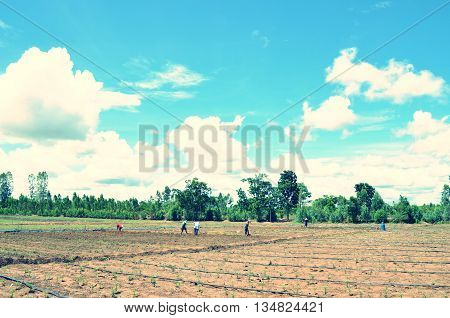 In the life of local farmers to the farm in the sky.