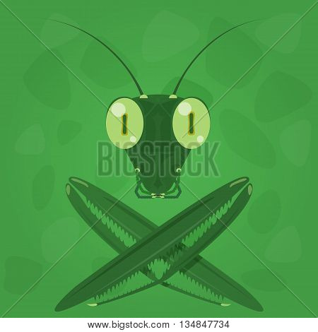 Mantis icon on a green background. Vector illustration.