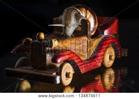 Snail riding a wooden toy car isolated on black  background