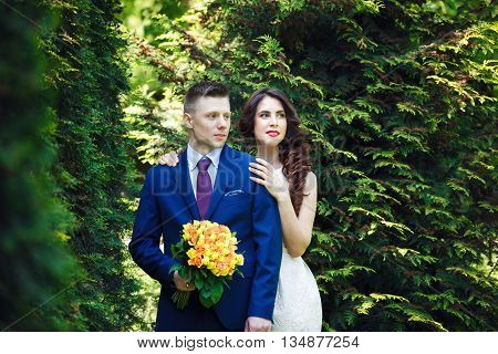 Romantic wedding couple embracing on a background of green trees