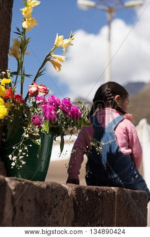 unidentifiable young girl sitting in front of flowers in Peruvian village