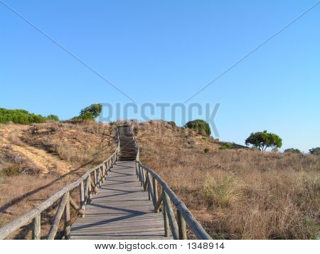 Woodway gökyüzüne