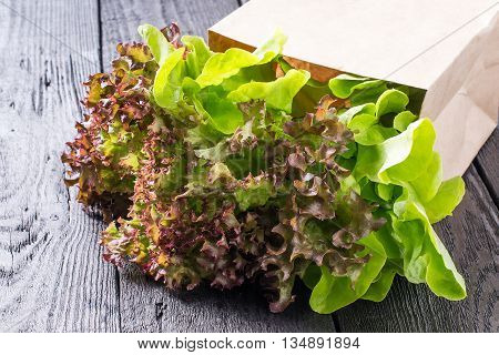 Fresh crispy lettuce and Lollo Rossa in a paper bag. The source of vitamins and minerals detox diet health or vegetarian food concept