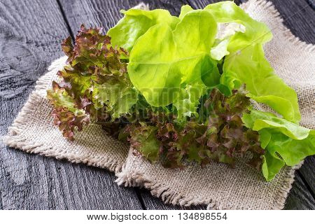 Fresh crispy lettuce and Lollo Rossa on sacking. The source of vitamins and minerals detox diet health or vegetarian food concept
