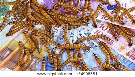 Big ugly worms crawling over euro banknotes background, economic crisis concept