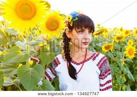 Beautiful woman in national ukrainian blouse embrodery holding a sunflower on a field at backlight