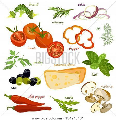 Vegetables pizza ingridients set. Tomato, pepper, onion slice, chili, dill and broccoli on white background isolated. organic healthy vegetables for cooking vegetarian pizza. Vector illustration.
