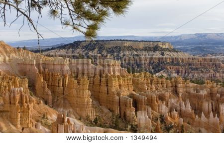 Bryce Canyon View