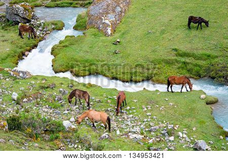 landscape in Andes. Salkantay Trekking Peru. South America