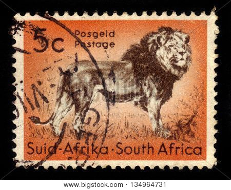SOUTH AFRICA - CIRCA 1958: A stamp printed in South Africa shows king of beasts, standing lion, circa 1958