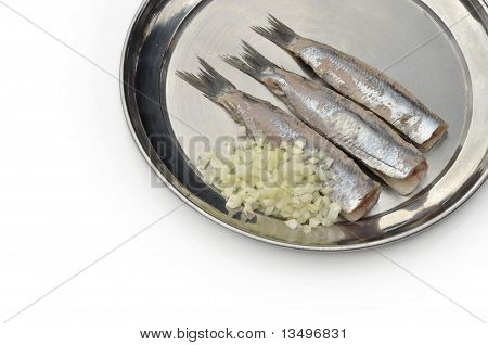 실버 물고기