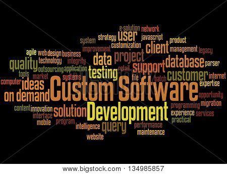 Custom Software Development, Word Cloud Concept