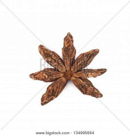 Single Chinese star anise seed isolated over the white background