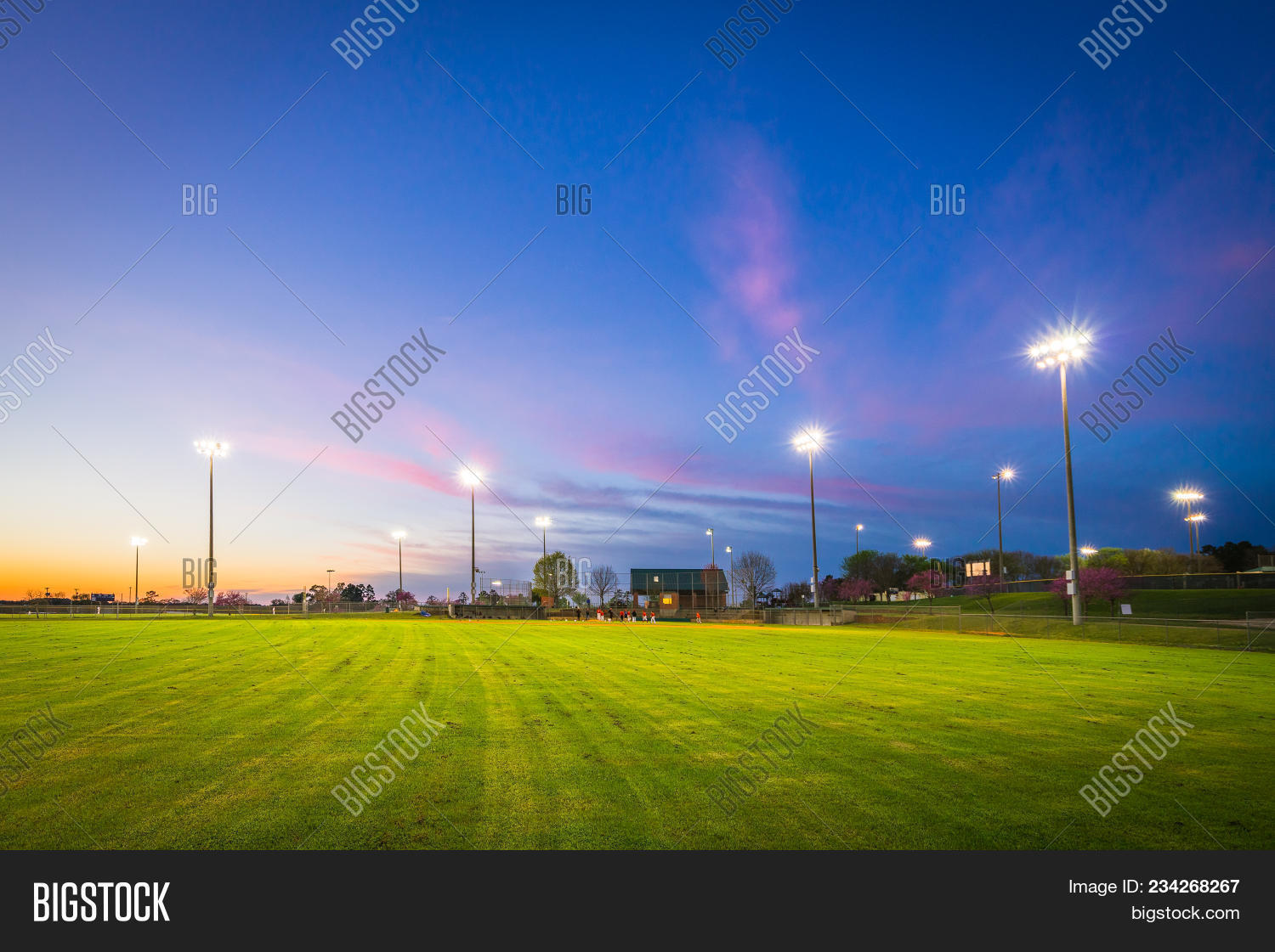 Baseball Field Lights Image & Photo (Free Trial) Bigstock