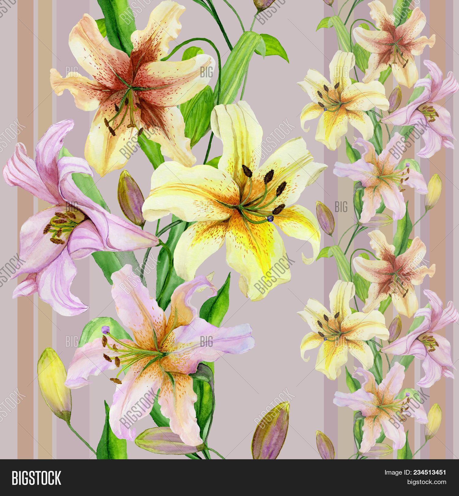 Beautiful Lily Flowers Image & Photo (Free Trial) Bigstock
