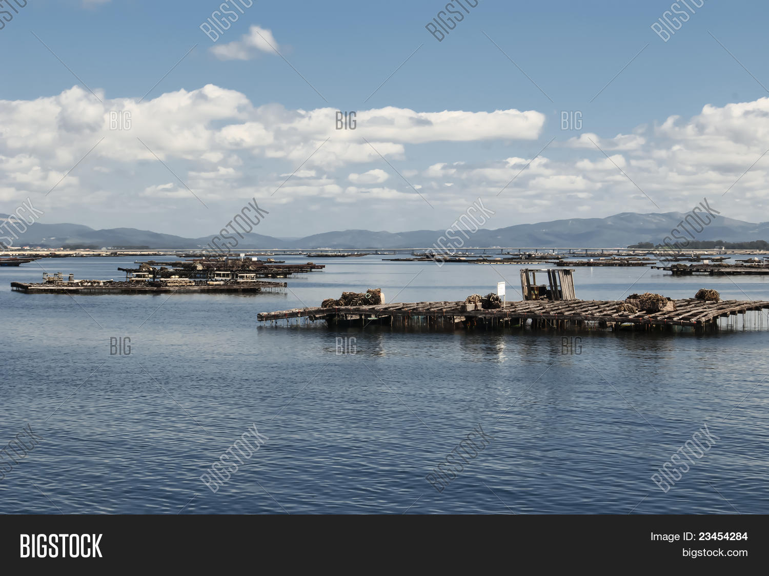 Mussels Farming Image & Photo (Free Trial) Bigstock