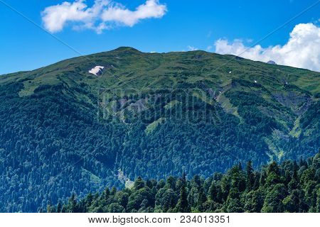 Landscape Of Subalpine Mountain Meadow And Forest In Caucasus, Russia
