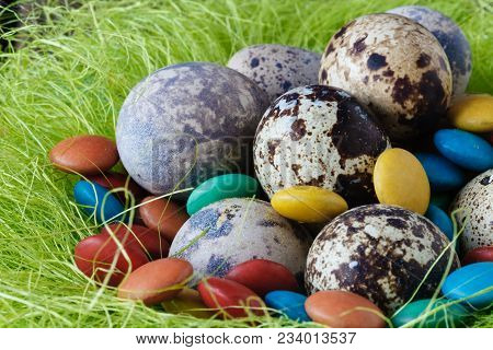 Easter Decoraton With Festive Nest Quail Eggs