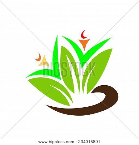 Sample Design Flower Logo Nature Graphic Resources