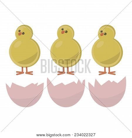Three Yellow Round Pot-bellied Chicken On Red Legs, Red Bites And Shiny Black Eyes With Shell From E