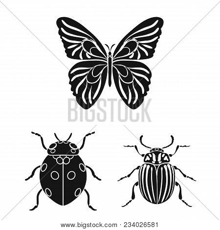 Different Kinds Of Insects Black Icons In Set Collection For Design. Insect Arthropod Vector Symbol 