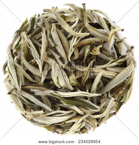 Snow Buds White Tea In Round Shape Isolated