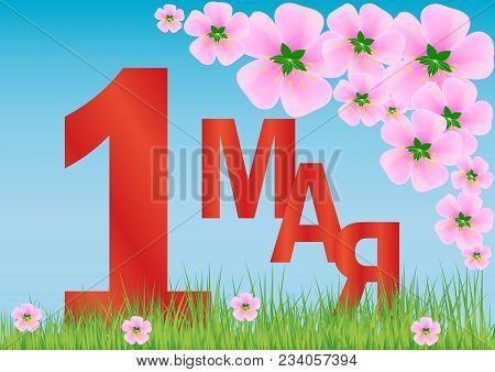 Vector Illustration With The Inscription In Russian - May 1. Pink Flowers And Grass Against The Sky.