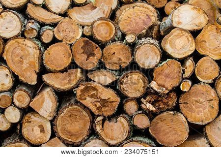 Wooden Logs Stacked Up To Become Firewood, Isla Martillo, Patagonia
