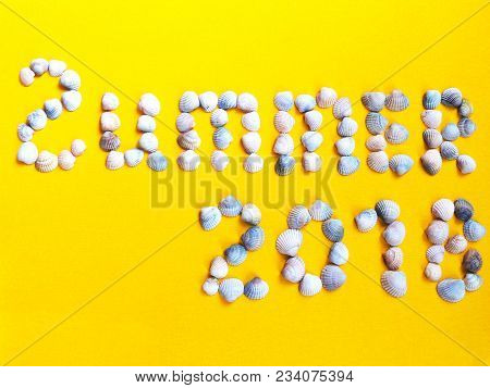 The Inscription Of The Word Summer Shells. The Concept Of Travel, Tourism