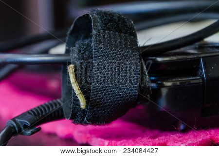 Caterpillar Of A Rare Kind Close-up On The Power Wires Of A Laptop.