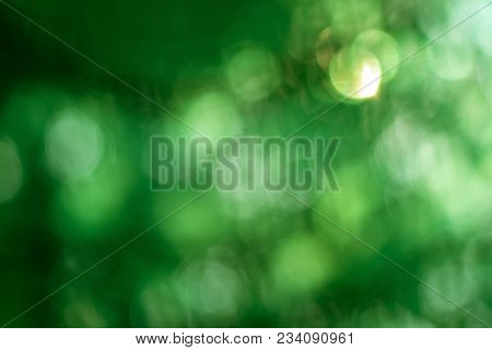 Abstract Blur With Bokhe Of Light Through The Green Trees