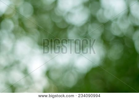 Abstract Blur With Bokhe Of Light Through The Green Trees