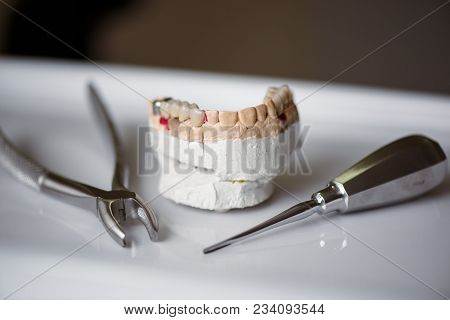 Dentist Tools And Artificial Jaw. Dental Clinic.