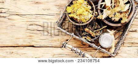 Basket With Medicinal Herbs