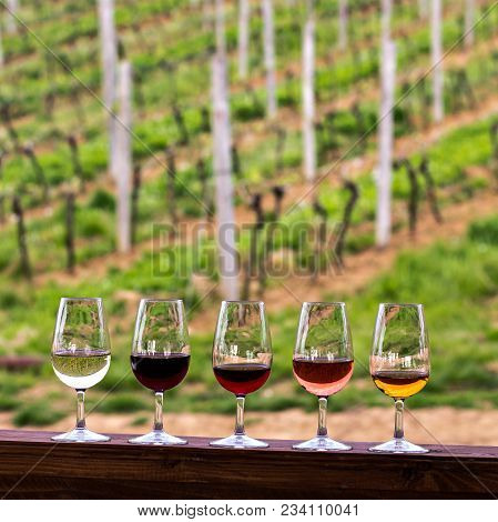 Glasses With Wine. Red, Pink, White Wine In Glasses.