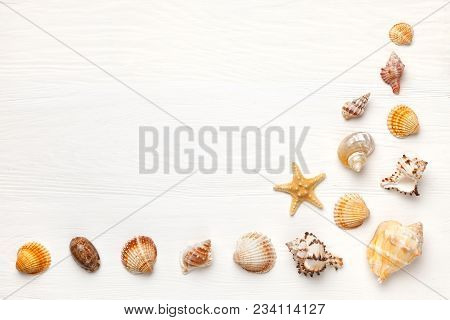 Exotic Sea Shells On A White Wooden Background. Concept Of Summer Travel And Beach Holidays. Flat La
