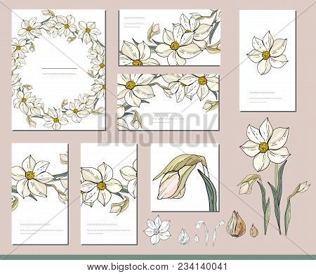 Daffodil Set With Visitcards And Greeting Templates